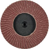 PFERD TOOLS 47202091 CDR PFF 75 A 80 Lamellenschijf Diameter 75 mm Korrelgrootte (num) 80 Brons, Titanium, Titaniumlegering, Koper, Messing, RVS, Grijs/grauw - thumbnail