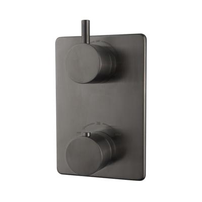 BWS Afbouwdeel Cemal Douche Thermostaat Inbouw 2-Weg Gunmetal Boss & Wessing
