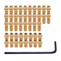 DMR pin kit vault gold - thumbnail