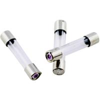 ESKA 528030 Buiszekering (Ø x l) 5 mm x 25 mm 16 A 250 V Normaal -mT- Inhoud 10 stuk(s) - thumbnail