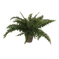 Kunstplant mica boston varen groen in pot - thumbnail