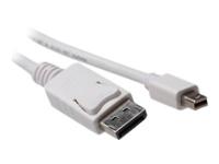 ACT Mini DP naar Displaypoort M/M 3m - thumbnail