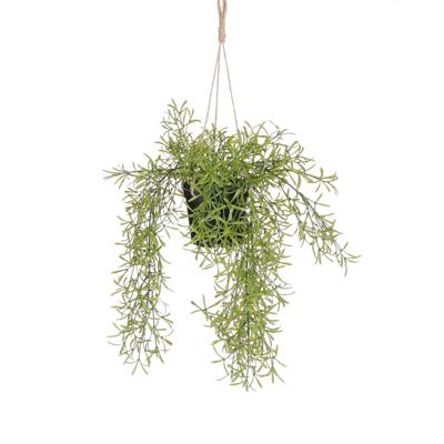 Kunstplant mica rhipsalis hangend in pot groen