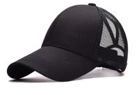 High ponytail pet - thumbnail