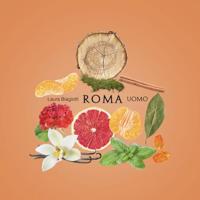 Laura Biagiotti Roma Uomo Eau de toilette Spray 75 ml Heren - thumbnail