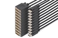 DIGITUS DisplayPort-adapterkabel - DP naar DVI-D (24 + 1) - 2,0m - 10 stuks - Full HD 1080p/60Hz - Zwart - thumbnail
