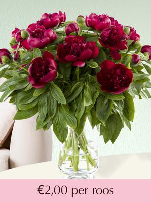 102 t/m 500 rode pioenrozen | Rozen online bestellen & versturen | Surprose.nl