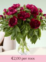 102 t/m 500 rode pioenrozen | Rozen online bestellen & versturen | Surprose.nl - thumbnail