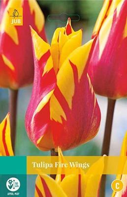 Tulp fire wings 7 bollen