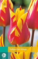 Tulp fire wings 7 bollen - thumbnail