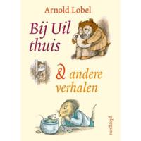 Bij uil thuis (Hardback) - thumbnail