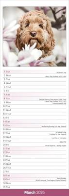 Cockapoo Kalender 2026 Slimline