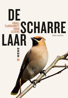 De scharrelaar - Diverse Auteurs - Paperback (9789045042824)