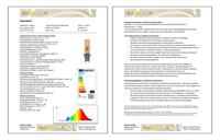 Segula 55616 LED-lamp Energielabel G (A - G) G9 Stiftfitting 4.5 W = 32 W Warmwit (Ø x l) 20 mm x 70 mm 1 stuk(s) - thumbnail