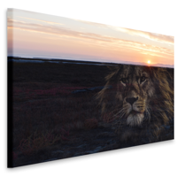 Schilderij - Leeuw en zonsondergang, prachtig schilderij in 2 beelden, voor woonkamer en slaapkamer, 2 maten, dieren - thumbnail