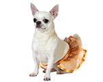 Kostuum voor honden Maat L Tutu - thumbnail