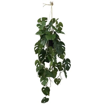 Monstera hang 105 cm kunstplant Buitengewoon de Boet - Buitengewoon de boet Monstera hang 105 cm kunstplant Buitengewoon de Boet - Buitengewoon de boet