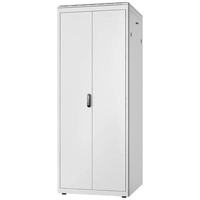 Digitus DN-31121 19inch-serverkast (b x h x d) 1000 x 2053 x 800 mm 42 HE Grijs, Grijs (RAL 7035)