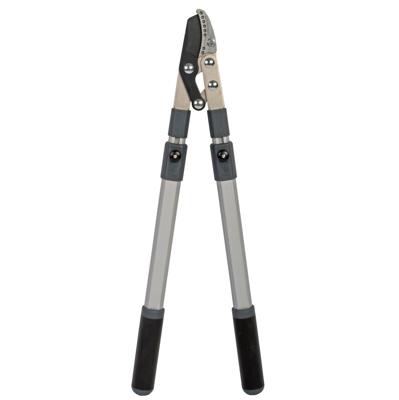 Takkenschaar telescopisch met aambeeld