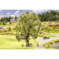 NOCH 21765 Boom Eik 150 mm 1 stuk(s) - thumbnail