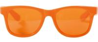 Oranje Blues Brothers Bril - thumbnail