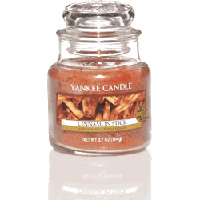 Yankee Candle Cinnamon Stick kaars klein - thumbnail