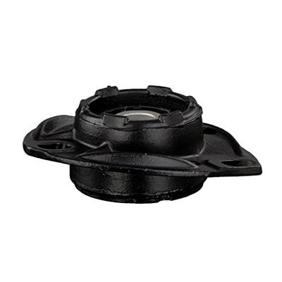 Veerpootvoering 01876