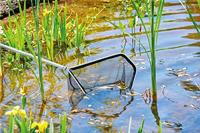 Oase 84308 Schepnet Maasbreedte: 4 mm (l x b x h) 40 x 41 x 25 cm - thumbnail