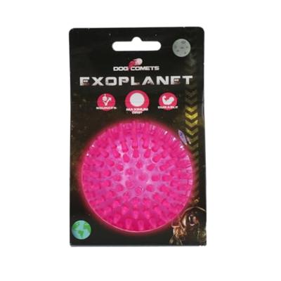 Dog Comets Exoplanet Pink M Dog Comets Exoplanet Pink M