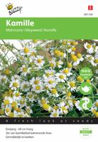 Buzzy® Kamille Zaden - thumbnail