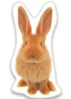 Konijnen sierkussen rood 22X36 cm - thumbnail