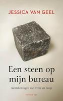 Een steen op mijn bureau - Jessica van Geel - ebook - thumbnail