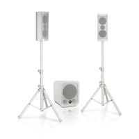 PAS-300 Draagbare luidsprekerset 1520W / 380W RMS - thumbnail