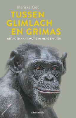 Tussen glimlach en grimas - Mariska Kret - ebook