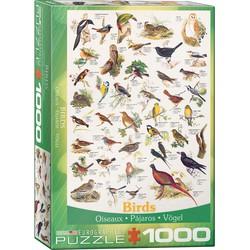 Birds (1000 Stukjes) - Puzzel;Puzzel (0628136612593) Birds (1000 Stukjes) - Puzzel;Puzzel (0628136612593)