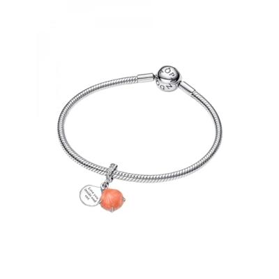 Sieraad Pandora 793821C01 Zilverkleurig