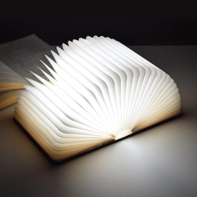 LED Book Light Medium - USB Boeklamp - 3 Lichtstanden