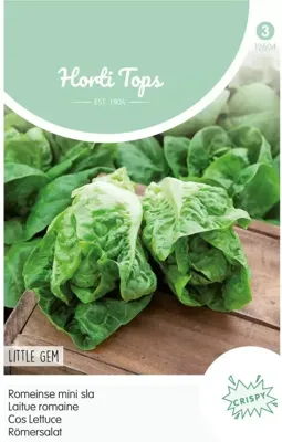 Zaden Romeinse mini sla Little Gem (bindsla) Hortitops - Hortitops