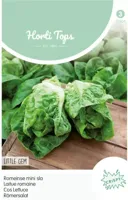 Zaden Romeinse mini sla Little Gem (bindsla) Hortitops - Hortitops - thumbnail