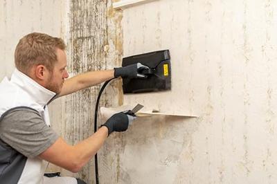 Wagner SteamForce Speed Pro Behangafstomer 2750 W Wagner SteamForce Speed Pro Behangafstomer 2750 W