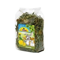 JR Farm knaagdier paardenbloem 100 gram 07101 JR Gebr. de Boon - Gebr de boon - thumbnail