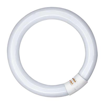 Fluorescerende buis Patron 20 W G10Q (6400 K)