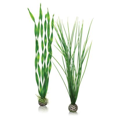 BiOrb planten groot groen aquarium decoratie