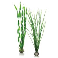 BiOrb planten groot groen aquarium decoratie - thumbnail