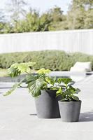 Ecopots Bloempot Amsterdam Ø30cm - Grijs - thumbnail