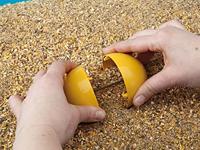 Savic kippenspeeltje chicken fun - thumbnail