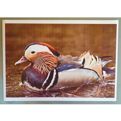 Oki Toner Kit geel - 1500 pagina&apos;s - 44973533