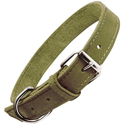 Hondenhalsband Gloria Oasis Zwart (45 x 1,8 cm)