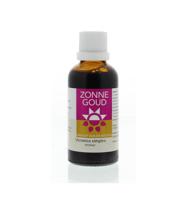 Veronica simplex 50 Milliliter - thumbnail