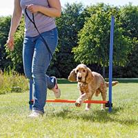 TRIXIE DOG ACTIVITY AGILITY HORDE BLAUW / ORANJE 123X115X3 CM - thumbnail